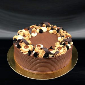 Salted Caramel Choco Cake